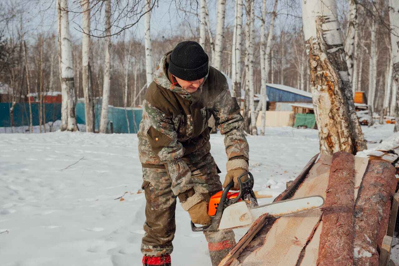 Large Tree Removal in Coopertown, TN